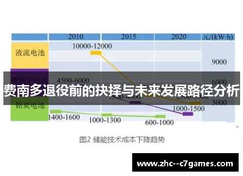 费南多退役前的抉择与未来发展路径分析 费南多退役前的抉择与未来发展路径分析