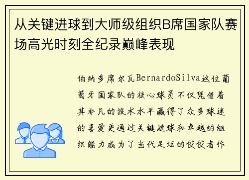 从关键进球到大师级组织B席国家队赛场高光时刻全纪录巅峰表现 从关键进球到大师级组织B席国家队赛场高光时刻全纪录巅峰表现